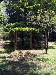 11707697_10205654919907174_6700630190519027862_n